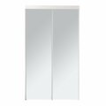 Renin 60 in. x 80 1/2 in. Bypass Mirrored Closet Door BY0120BWCLE060080